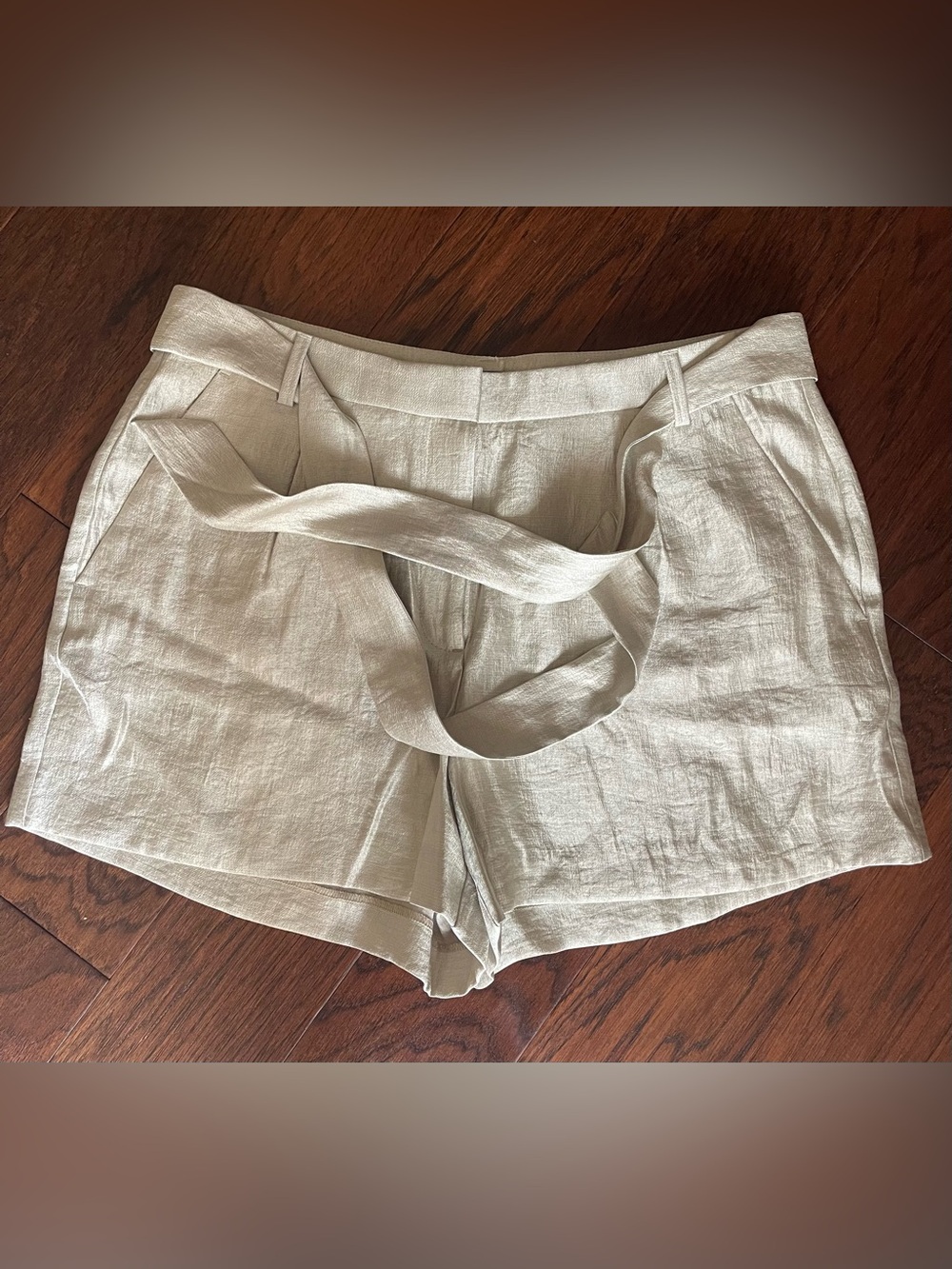 Ann Taylor Loft Rayon/Polyester Blend Tie-Waist Shorts in Sheen Gold Size 12